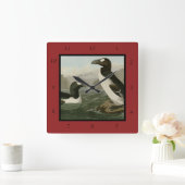 Grote auk - John James Audubon's vogels in Amerika Vierkante Klok (Huis)