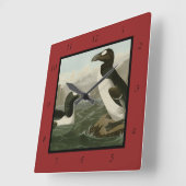 Grote auk - John James Audubon's vogels in Amerika Vierkante Klok (Hoek)