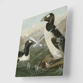 Grote auk - John James Audubon's vogels in Amerika Vierkante Klok (Hoek)