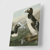 Grote auk - John James Audubon's vogels in Amerika Vierkante Klok (Hoek)
