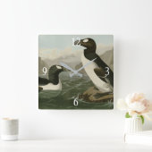 Grote auk - John James Audubon's vogels in Amerika Vierkante Klok (Huis)