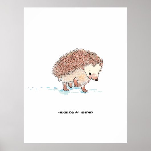 Grote Avontuur van de Egel  Poster (Voorkant)