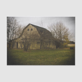 Grote balzone omringd door grote balbomen tissuepapier