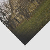 Grote balzone omringd door grote balbomen tissuepapier (Detail)