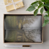 Grote balzone omringd door grote balbomen tissuepapier (Geschenk)