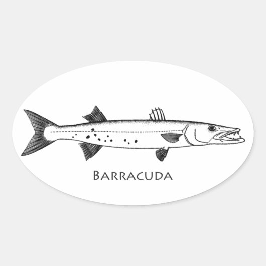 Grote Barracuda Logo Ovale Sticker (Voorkant)