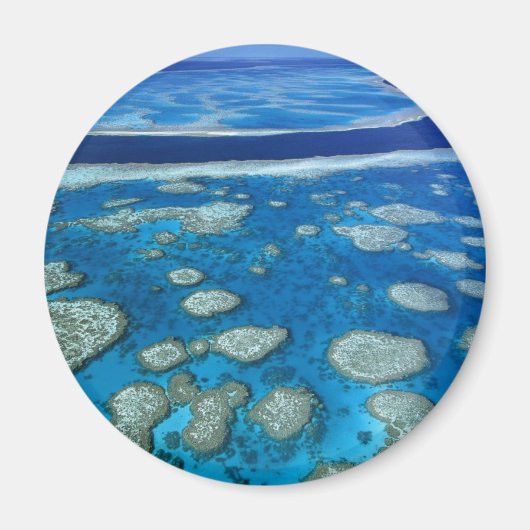 Grote Barrier Reef Magnet (Voorkant)