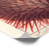 Grote Barrière-rif stekelhuidigen, Poster (Hoek)