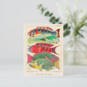 Grote barrière rif vissen briefkaart (Staand voorkant)