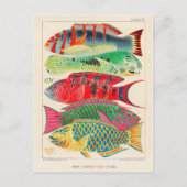 Grote barrière rif vissen briefkaart (Voorkant)