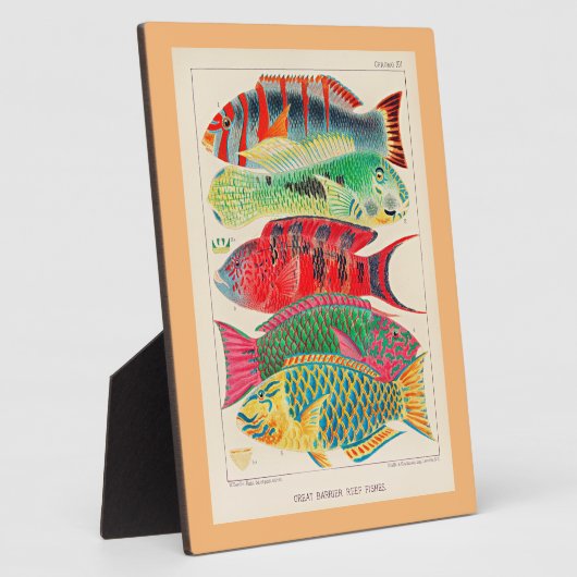 Grote barrière rif vissen fotoplaat (Zijkant)