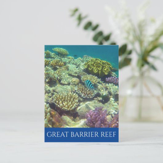 grote barrièrerif australië briefkaart (Staand voorkant)