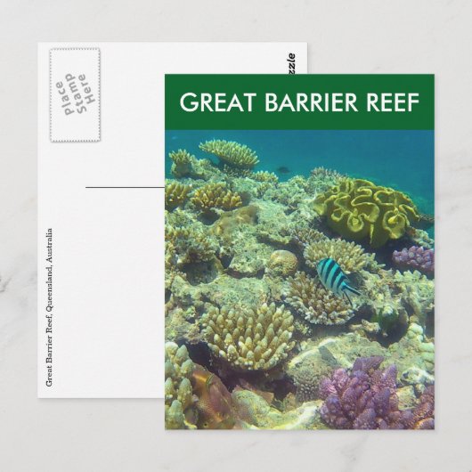 grote barrièrevis briefkaart (Voorkant / Achterkant)