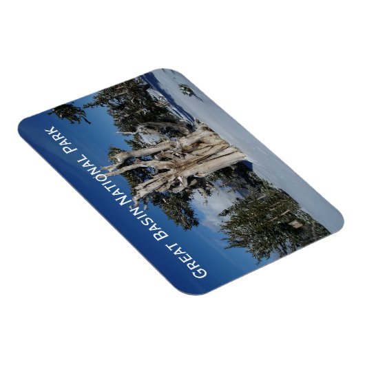 Grote Basin National Park Magnet Magneet (Rechterzijde)