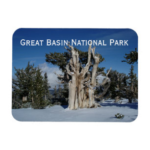 Grote Basin National Park Magnet Magneet
