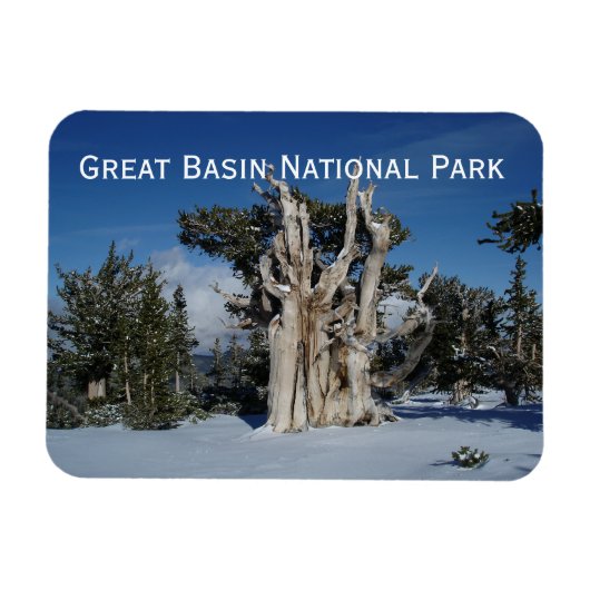 Grote Basin National Park Magnet Magneet (Horizontaal)