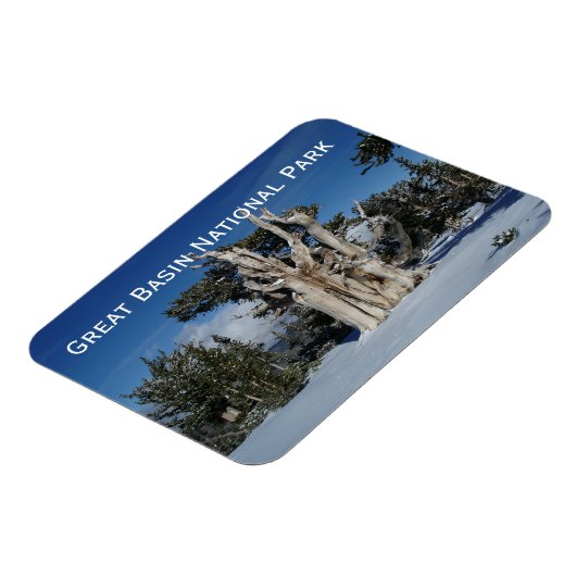 Grote Basin National Park Magnet Magneet (Linkerzijde)