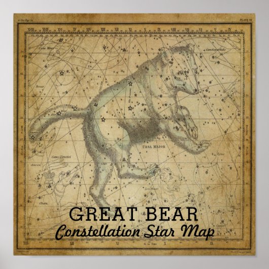 Grote Beer Ursa Major Constellation Star Map Poster (Voorkant)