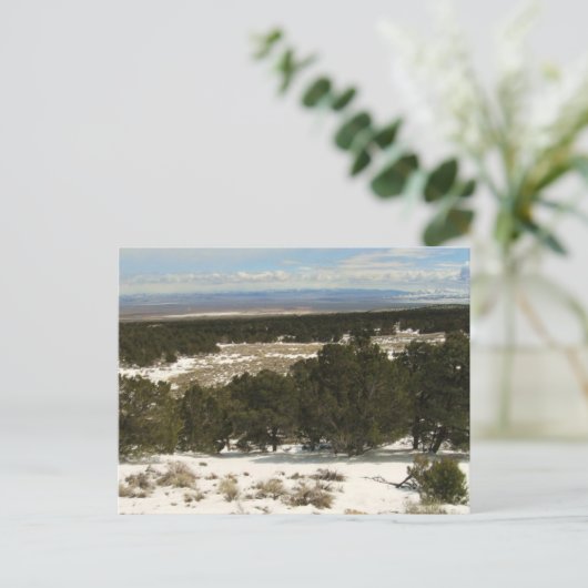 Grote bekken briefkaart (Staand voorkant)