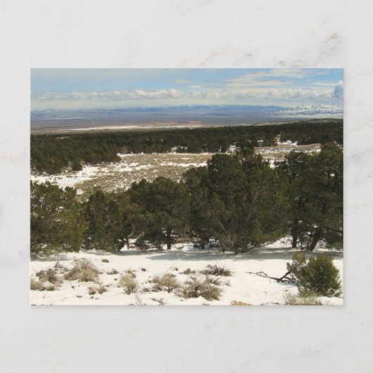 Grote bekken briefkaart (Voorkant)