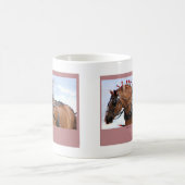 Grote Belgische Mokken (Center)