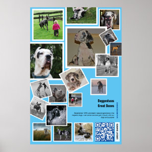 Grote Bench Promotie Poster