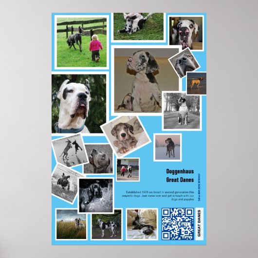 Grote Bench Promotie Poster (Voorkant)