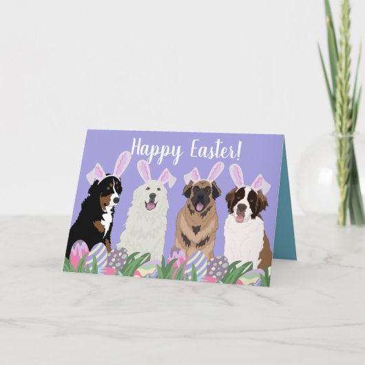 Grote berghond paasmager kaart (Voorkant)