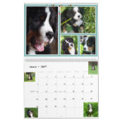 Grote Berner Nation Babes 2017 kalender (Mar 2027)