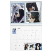 Grote Berner Nation Babes 2017 kalender (Jan 2027)