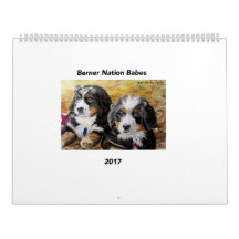 Grote Berner Nation Babes 2017 kalender