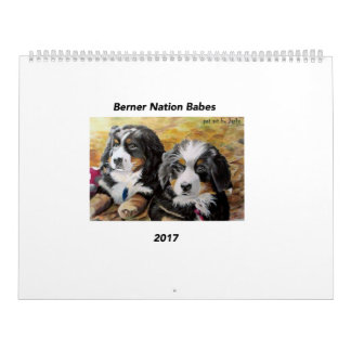 Grote Berner Nation Babes 2017 kalender
