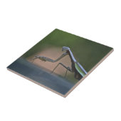 Grote bidsprinkhaan Trivet Tegeltje (Zijkant)