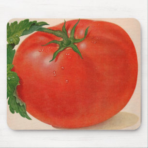 grote BIG juicy tomato Muismat