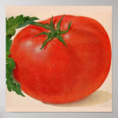 grote BIG juicy tomato Poster (Voorkant)