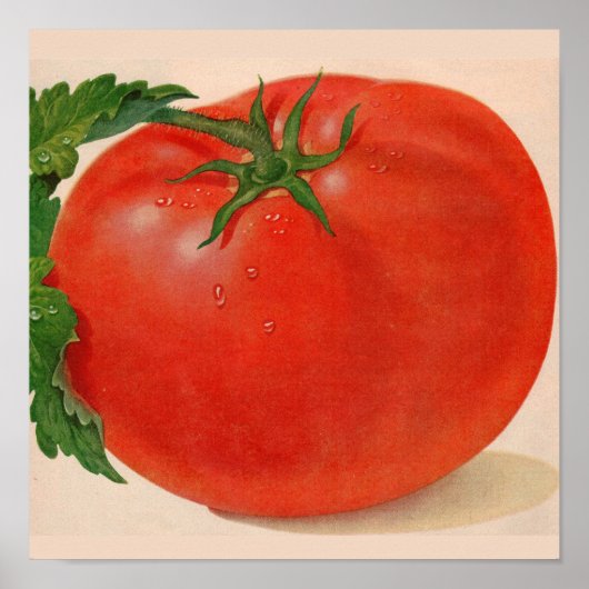 grote BIG juicy tomato Poster (Voorkant)