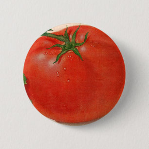 grote BIG juicy tomato Ronde Button 5,7 Cm