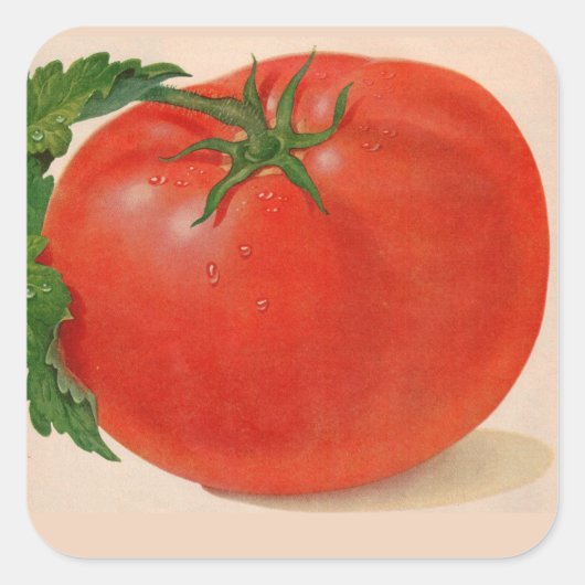 grote BIG juicy tomato Vierkante Sticker (Voorkant)