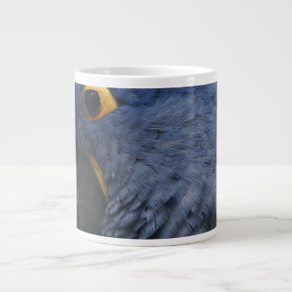 Grote blauwe ara op grote mok koffie