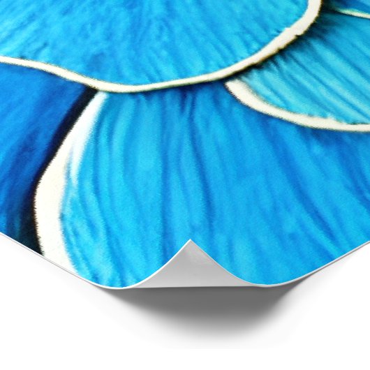 Grote blauwe Camellia bloesem Poster (Hoek)