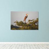 Grote blauwe haron boven op de boom canvas afdruk (Insitu (Houten vloer))