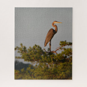 Grote blauwe haron boven op de boom legpuzzel