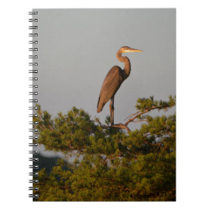 Grote blauwe haron boven op de boom notitieboek