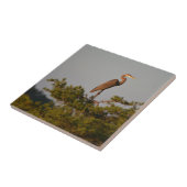 Grote blauwe haron boven op de boom tegeltje (Zijkant)