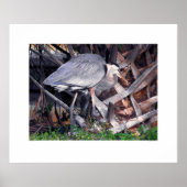 Grote blauwe haron en palmboom poster (Voorkant)