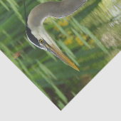 Grote blauwe haron in een vijver - Groenboek over  Tissuepapier (Detail)