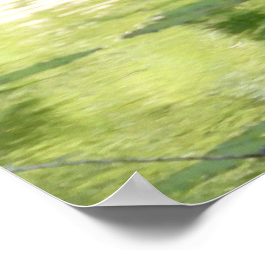 Grote blauwe haron in vijver - groen poster (Hoek)