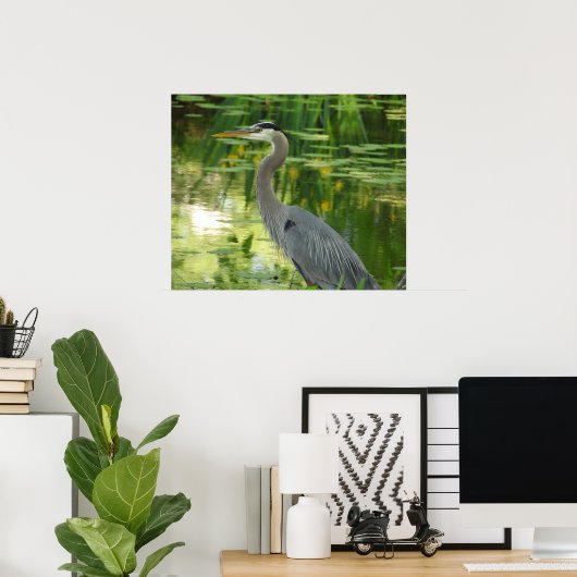 Grote blauwe haron in vijver - groen poster (Thuiskantoor)