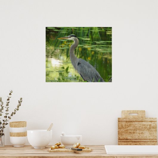 Grote blauwe haron in vijver - groen poster (Keuken)