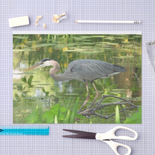 Grote blauwe haron in vijver - groen tissuepapier (Craft)